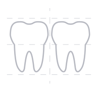 Dental Xrays Erina